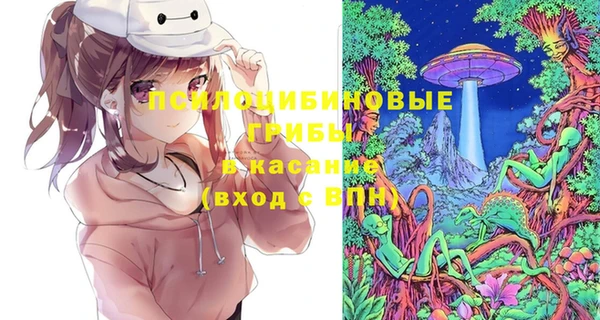 дживик Сатка
